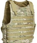 BALCS carrier Molle