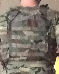 AR500 plate Carrier woodland cumber back