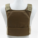 SPT Special Pistol Threat Low Profile plate carrier back