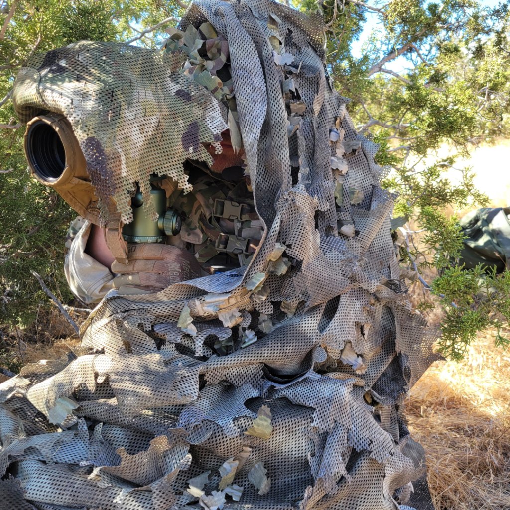 Proposed Strategies for Improving Camouflage